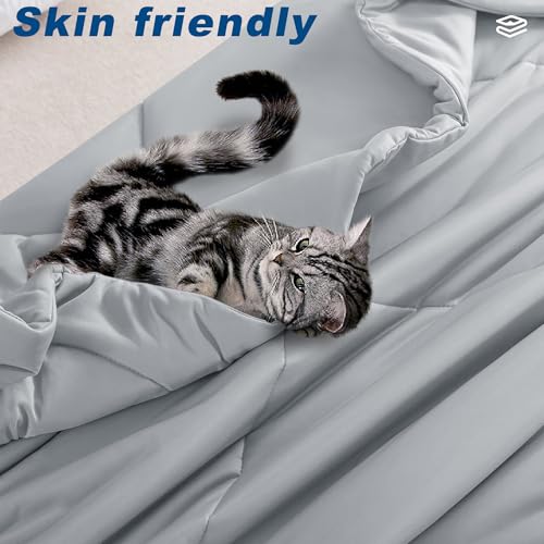 bedsmile Cooling Comforter Queen Size, Double-Sided Cold Tech Fabric Quilted Bed Comforters Cooling Blanket for Hot Sleepe...