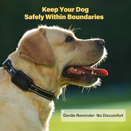 GPS Wireless Dog Fence System - Electric Training Collar with Free App for Dogs (Black)