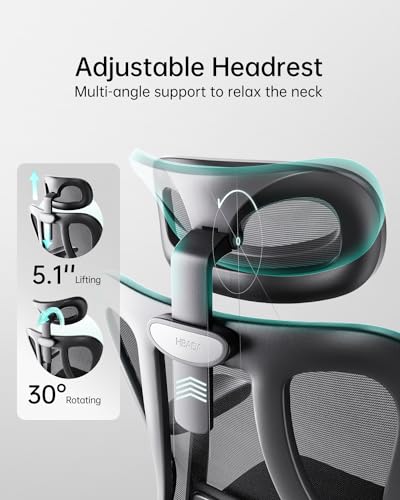 Hbada P3 Ergonnomic Office Chair with 2D Adjustable Lumbar Support, Office Chair with Adjustable Headrest and Armrest, 14...