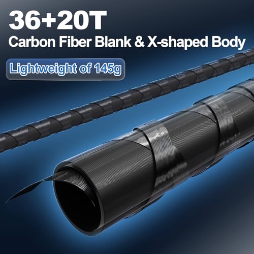 SEASIR Overcast Saltwater/Freshwater Fishing Rod, BFS Spinning Rod 6'6/7'6/8'/8'6, 2 Piece Bait Casting Rod, Black Baitcas...