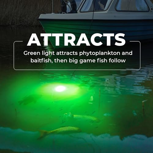 Foxelli Underwater Fishing Light – 3900-Lumen DC12V 30W Submersible IP68 Waterproof Green Fishing Light Attractant with 33...