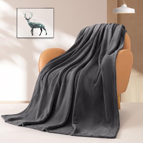 BEAUTEX Fleece Throw Blanket for Couch Sofa or Bed Throw Size, Soft Fuzzy Plush , Luxury Flannel Lap Blanket, Super Cozy a...