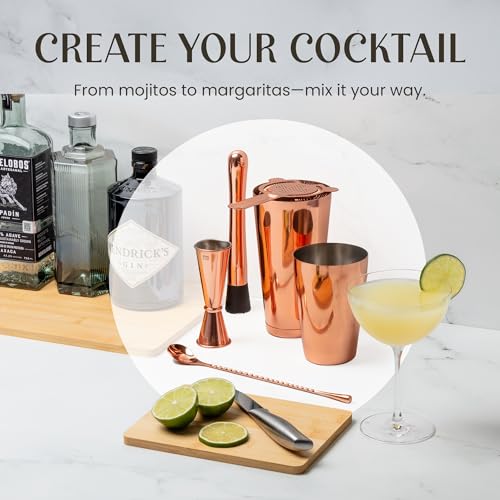 Mixology & Craft Cocktail Shaker Set: 11-Piece Weighted Boston Shaker Kit | Complete Cocktail Kit Gift Set | Top Bartender...