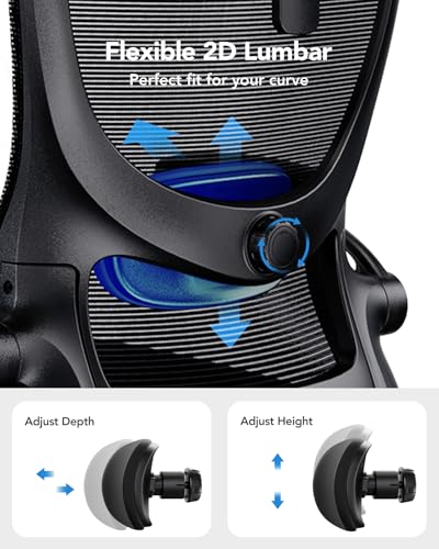 HUANUO Ergonomic Office Chair, High Back Computer Desk Chair with Adjustable Lumbar Support and Headrest, Comfy Gaming Cha...