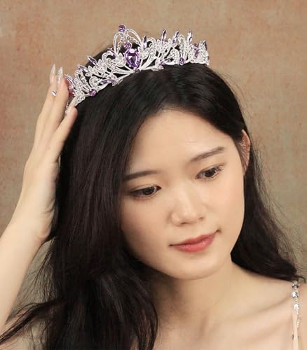 Rannyrena Silver Crystal Tiaras and Crowns for Women Sparkling Rhinestone Queen Crowns Princess Birthday Wedding Bridal Ha...