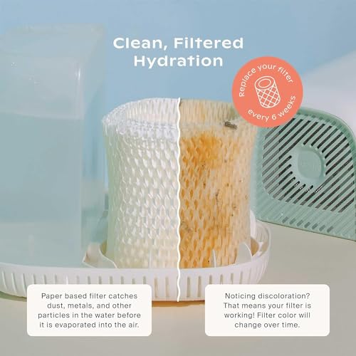 Canopy Original Bedside Humidifier Filters, Pack of 1 Filter Wick, Replacement Filters - Compatible with Canopy Bedside Hu...