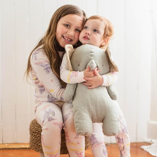Burt's Bees Baby Girls' Pajamas, 2-Piece Long Sleeve Tee and Pants Organic Cotton PJ Set