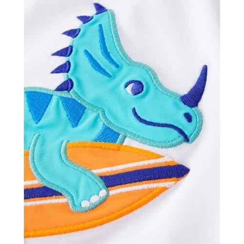 Gymboree Boys' and Toddler Long Sleeve Rashguard