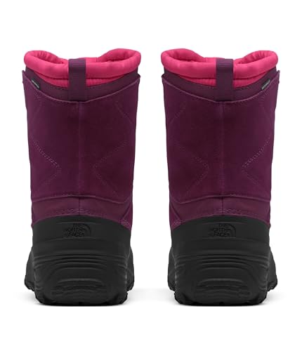THE NORTH FACE Teen Alpenglow V Waterproof Boot
