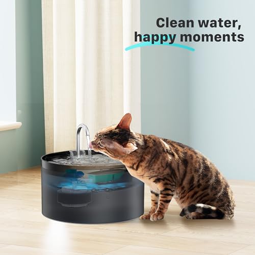 Cat Water Fountain Filters : BEMOONY Pet Water Fountain Replacement Filter - 12 Packs of Cat Fountain Filters (6 Carbon Fi...