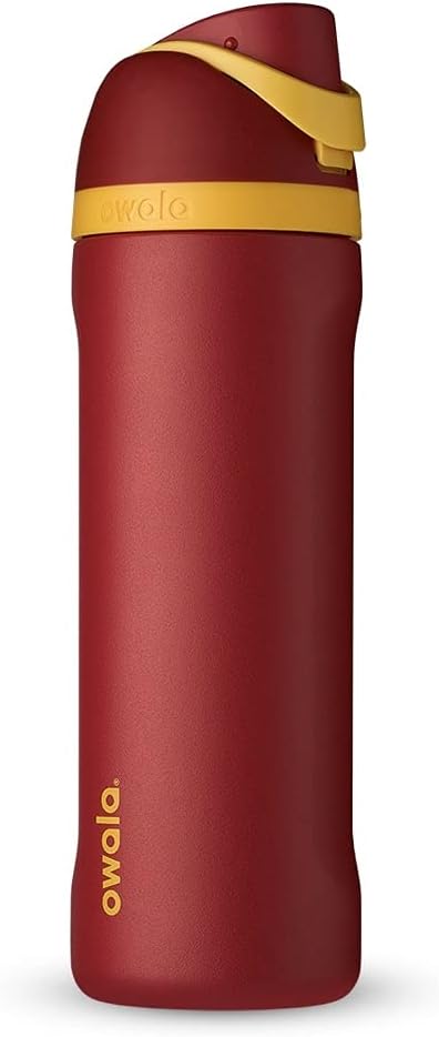 Owala Harry Potter FreeSip Insulated Stainless Steel Water Bottle with Straw, BPA-Free Sports Water Bottle, Great for Trav...