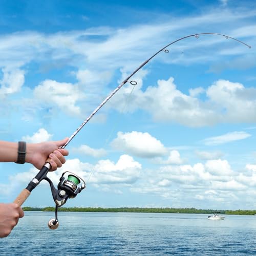 Sougayilang Spinning & Casting Rods, Strong Carbon&Glass Composite Fishing Rod with Stainless Steel Line Guides for Bass, ...