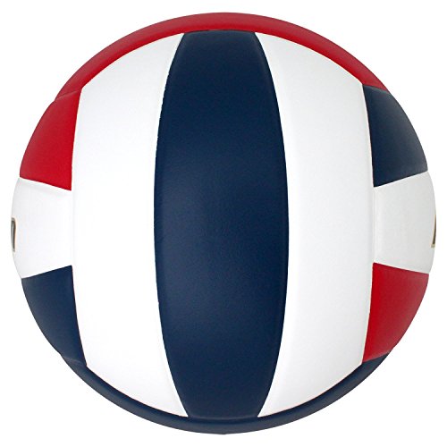 Baden | Perfection | Premium Leather | Indoor Official Game Volleyball | 13U to College | Official Size + Weight | NFHS + AVCA Approved