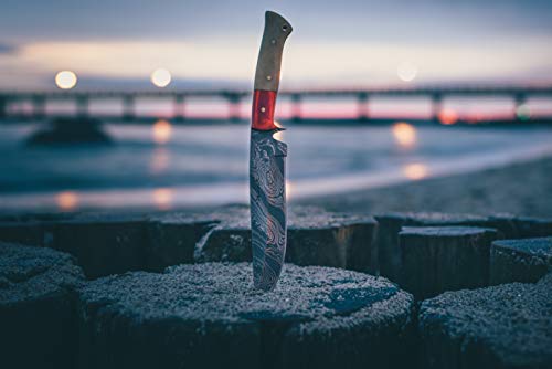 Perkin FBE111 Fixed Blade Hunting Knives with Sheath- Damascus Steel Handmade Full Tang Bushcraft Fixed-Blade Premium Knif...