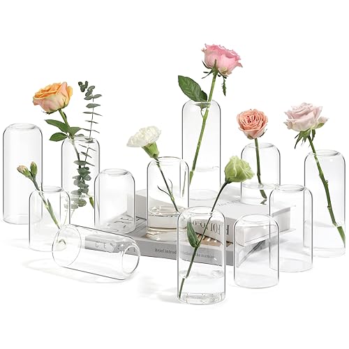ComSaf Small Flower Vase Set of 12, Glass Bud Vases in Bulk, Clear Vases for Flower, Decor Centerpiece for Bathroom, Decor...