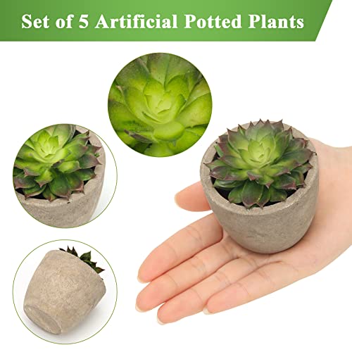 Coitak Artificial Succulent Plants Potted, Assorted Decorative Faux Succulent Potted Fake Cactus Cacti Plants with Pots, S...