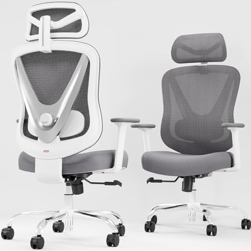 HOLLUDLE Ergonomic Mesh Office Chair - 3D Adjustable Lumbar Support & 3D Armrests, V-Shaped Back, Adjustable Desk Chair fo...