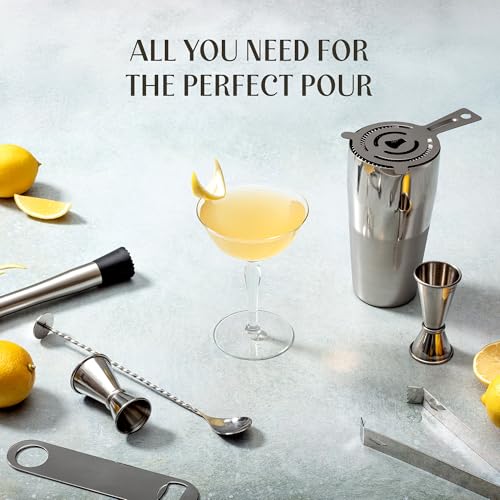 Mixology & Craft 16-Piece Stainless Steel Cocktail Shaker Set, 24 oz Cobbler Martini Shaker, Mixology Bartender Kit with S...