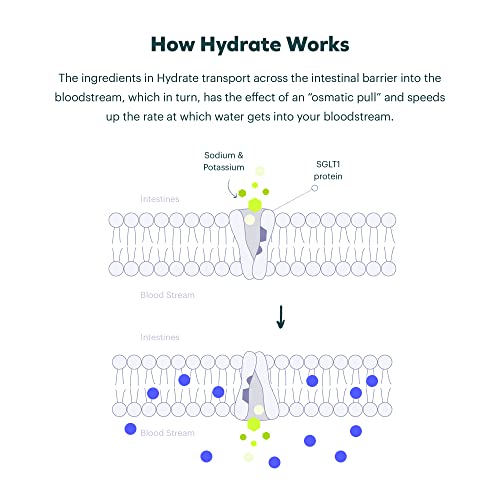 Cheers Classic Combo | Restore + Hydrate | Rehydrate & Feel Better After Drinking | DHM, L-Cysteine, B-Vitamins, Electroly...