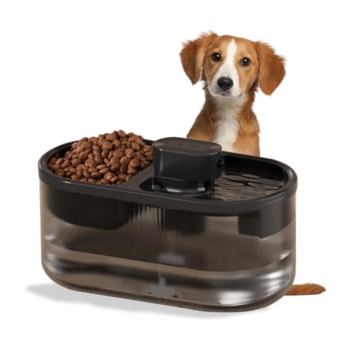 Smart 4.5L Pet Water Fountain: Automatic Dispenser with Quiet Pump for Dogs & Cats (Black)