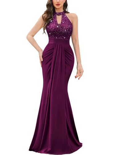 Miusol Women's Elegant Halter V-Neck Lace Sequin Pleated Formal Evening Maxi Dress