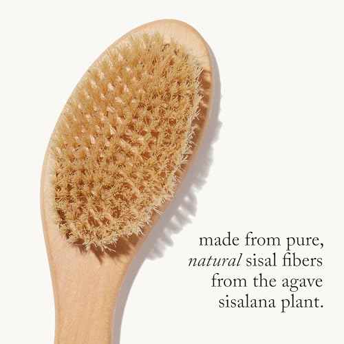 goop Beauty Dry Brush | Detoxifying Body Exfoliator | Wooden Handle with Natural Biodegradable Sisal Fibers | Sweeps Away Dead Skin | FSC Certified
