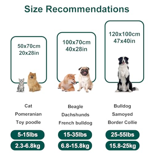 Onarway Dog Blanket Washable for Puppy: 4 Packs Dog Blankets 40”x28” - Fluffy Soft Small Throw for Cat Puppy Kitten Dogs -...