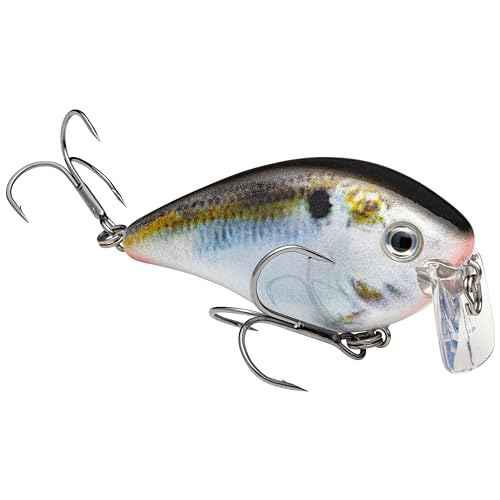 Strike King KVD 2 5 Wake Bait 1