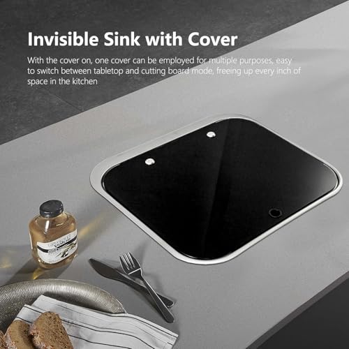 GZOII Portable RV Sink, 16.54×14.57×5.91 Inch Small Stainless Steel Bar Camping Sink with Folde Faucet and Tempered Glass ...