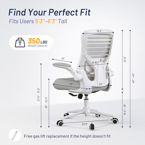 QLTPLUS Office Chair for Long Hours & Lower Back Pain Relief – 4" Molded Foam Cushion, Padded Lumbar Support, and Padded F...