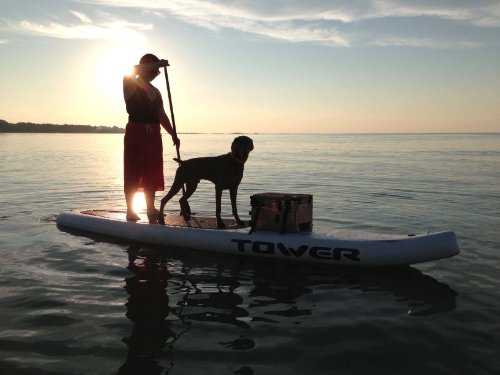 Tower Xplorer Inflatable 14' Stand Up Paddle Board - (8 Inches Thick) - Universal SUP Wide Stance - Premium SUP Bundle (Pu...