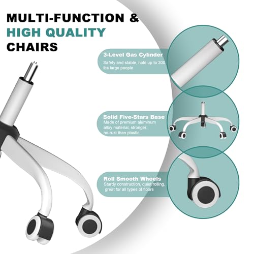 Mimoglad Office Chair, Comfy Desk Chair - High Back Ergonomic Computer Chair with Adjustable Lumbar Support & Headrest, Fl...