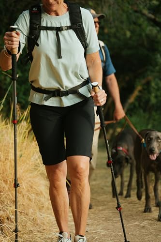 Goode Carbon Peak Backcountry Trekking Poles, 428g, 25-54 in Height Range, 2-Stage Adjustable