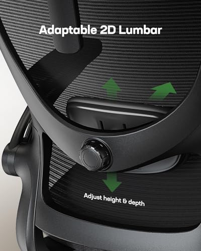 Marsail Ergonomic Office Chair: Office Desk Chair with High Back Mesh and Adjustable Lumbar Support Rolling Work Swivel Ta...