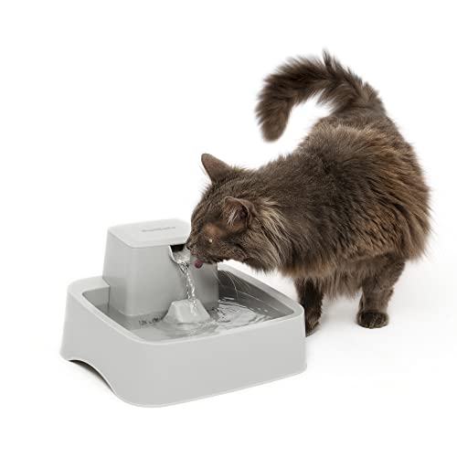 PetSafe Oasys 1/2 Gallon Pet Fountain - Cat & Dog Hydration Station with Free-Falling Water Stream & Customizable Flow - E...