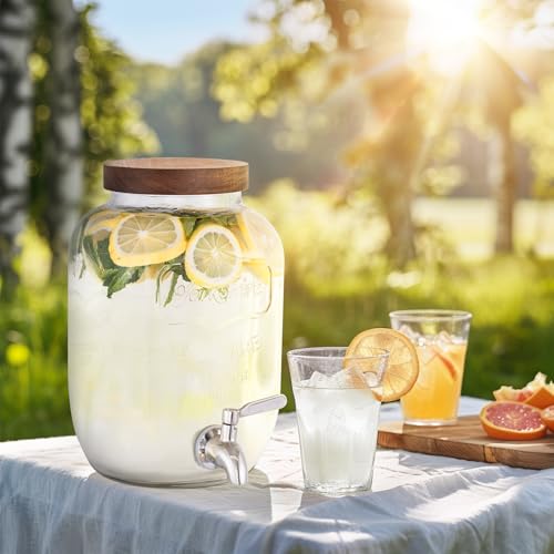 Mustry Glass Drink Dispenser for Parties, 1 Gallon Beverage Dispenser with Spigot Solid Stainless Steel, Used as Lemonade ...