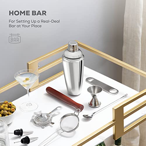 FineDine 10-Piece Cocktail Shaker Set with Travel Bag - Stainless Steel Shaker Set Bartender Kit - Mixology Bartender Kit...