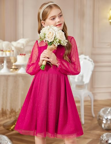Arshiner Girls Dresses Contrast Mesh Puff Long Sleeve Mock Neck Formal Party A Line Short Tulle Dress