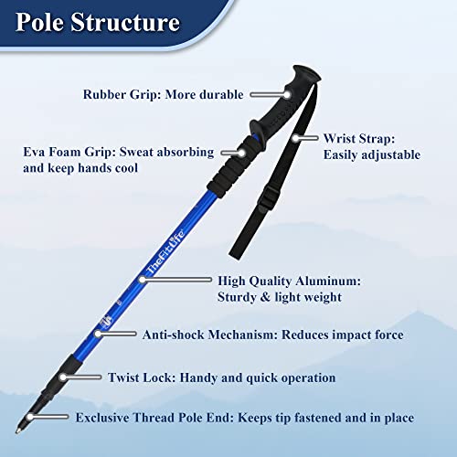 TheFitLife Nordic Walking Trekking Poles - 2 Sticks with Anti-Shock and Quick Lock System, Telescopic, Collapsible, Ultral...