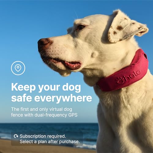 Halo Collar 4, GPS Wireless Dog Fence & Dog Training Collar with GPS Tracker, Subscription Required, Waterproof, Sunburst,...
