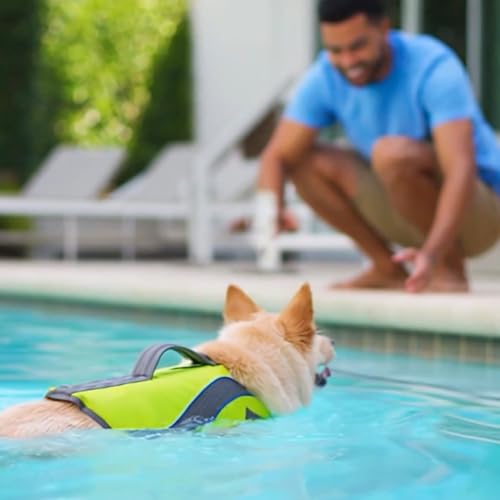 KONG HydroPro Dog Flotation Life Jacket Vest, Swimming Float Aid with Safety Handle, Adjustable Comfortable Durable Preser...