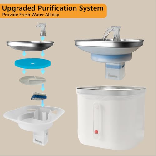 ANNAINUTC Cat Water Fountain, 2L/68oz Automatic Stainless Steel Pet Fountain Dog Water Dispenser with Replacement Filters...