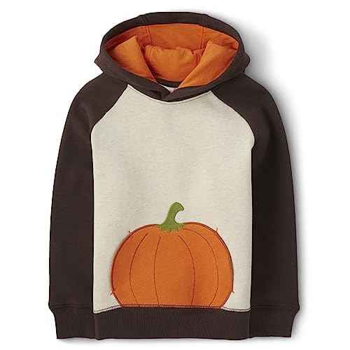 Gymboree Boys' and Toddler Long Sleeve Hoodie Sweatshirt