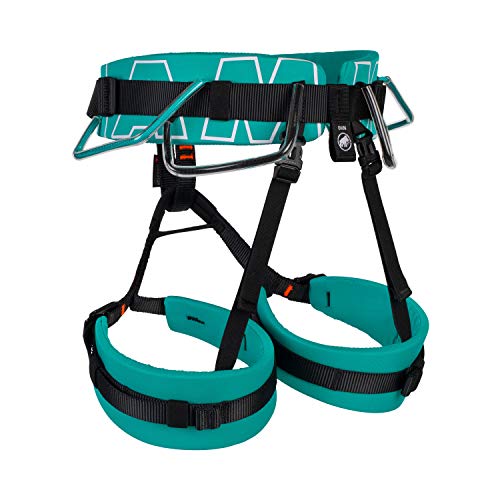 Mammut 4 Slide Climbing Harness