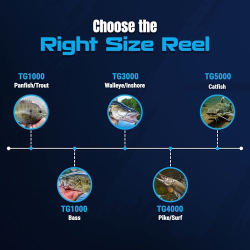 Reaction Tackle High-Performance Fishing Reels – Spinning Reel Series, Lightweight & Durable, with Smooth Drag System