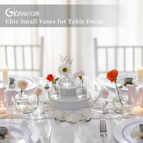 Glasseam Clear Glass Vases for Centerpieces: Mini Flower Vase Set 28Pcs Bud Vases in Bulk - Modern Small Vases for Home Ro...