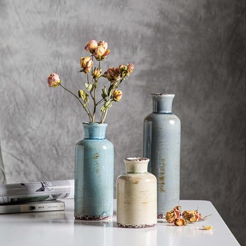 CwlwGO- Ceramic Vase Set of 3, Small Flower Vases for Home Decoration, Modern Farmhouse Decor, Living Room Kitchen Table C...