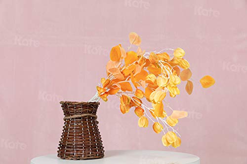 Kate 6ftX9ft Solid Light Pink Backdrop Portrait Photography Background for Photography Studio Children and Headshots Light...