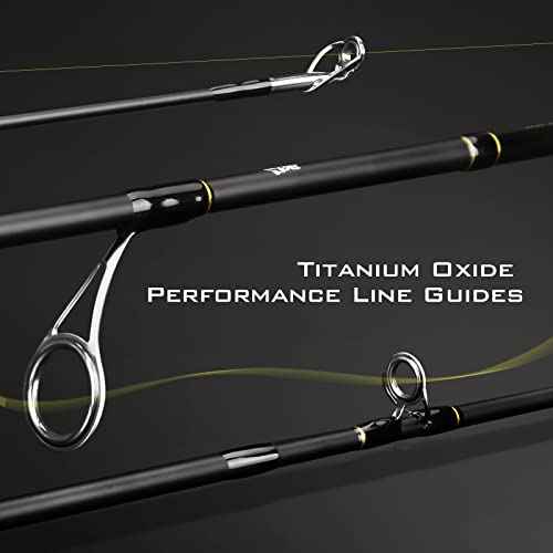 KastKing Valiant Eagle Passage Travel Fishing Rods, 4 & 6 Pc Pack Rods, Spinning, Casting and Fly Models, IM6 Graphite Blank, Ti Oxide LTS Ring Guides, Beautiful Cork Handles