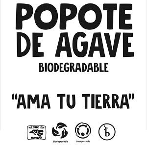 200 Pack Agave Fiber Straws Bio Preferred, Eco-friendly Alternative to Plastic & Paper Straws, Plant Based